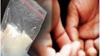 BNN Berhasil Ungkap Pabrik Sabu di Batam, Pelakunya Mantan Polisi Malaysia