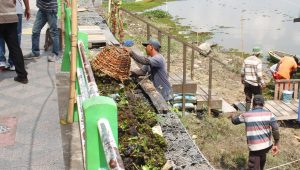 IMG-20221001-WA0024 Komisi III DPRD Kota Jambi Sidak Danau Sipin