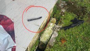 foto-bungkusan-hitam-diduga-narkotika Petugas Lapas Kuala Tungkal Gagalkan Penyeludupan Melalui Saluran Air Yang Diduga Berisi Narkotika