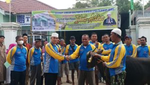 foto-lpba-tilawah-jambi-qurban LPBA Tilawah Jambi di Hari Raya Idul Adha 1444 H / 2023 M, Qurban 3 Ekor Sapi dan 3 Ekor Kambing