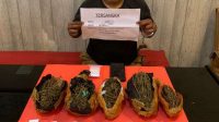 foto-pelaku-narkoba Simpan Sabu Diatas Atap Seorang Pria Dibekuk Polisi