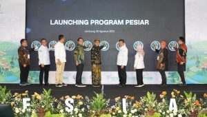 IMG-20230830-WA0006 Akselerasi Capaian UHC, BPJS Kesehatan Luncurkan Program PESIAR