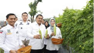 foto-bupati-bungo-panen-raya-sayuran Bupati H.Mashuri Menghadiri Panen Raya di Dusun Suka Jaya