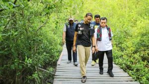 IMG-20240320-WA0023 Dampingi Kunjungan Ke Mangrove Pangkal Babu, Bupati Berharap Kemenparekraf Dapat Berkolaborasi Bersama