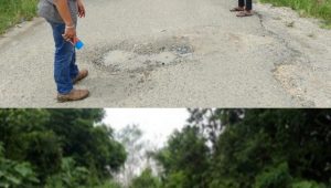 IMG_20240610_104203 Kerusakan Ruas Jalan di Dusun Candi dan Dusun Telentam Kabupaten Bungo Segera Diperbaiki