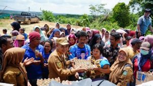 IMG-20240705-WA0016 Pj Bupati Tebo H. Aspan Gelar Pengobatan dan Sunat Massal serta Pasar Murah di Balai Rajo