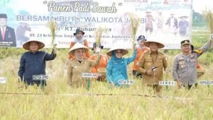 IMG-20241028-WA0035 Ketua DPRD Kemas Faried Hadiri Panen Padi di Kelurahan Tanjung Sari Jambi Timur