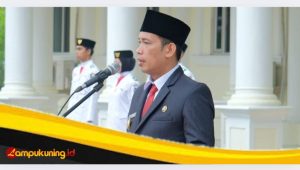 IMG_20241101_125843 Peringati Hari Sumpah Pemuda Ke - 96, Pjs Bupati Tanjabbar : "Pemuda Pemilik Masa Depan"