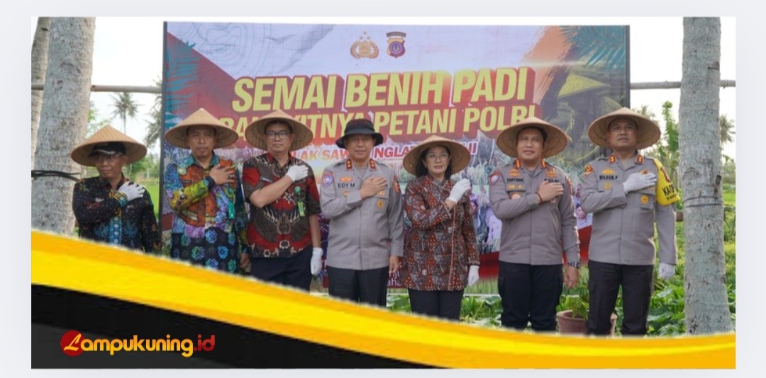IMG 20241101 135219