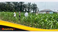Dukung Program Pemerintah, Polsek Pelepat Ilir Bersama Warga Desa Karya Harapan Mukti Siapkan Lahan Pertanian