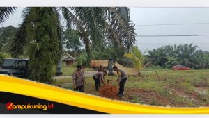 IMG_20241106_085005 Dukungan Ketahanan Pangan Nasional, Polsek Pelepat Manfaatkan Lahan Kosong Untuk Tanam Sayuran
