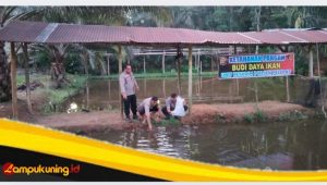 IMG_20241112_121202 Polsek Pelepat manfaatkan Lahan Kosong Dijadikan kolam ikan Wujud Dukungan Ketahanan Pangan Nasional
