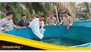 IMG_20241113_153801 Dukungan Ketahanan Pangan Nasional, Polsek Pelepat Ilir Manfaat Lahan Kosong Untuk Lokasi Kolam Ikan