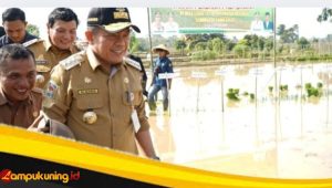 IMG_20241117_211805 Gubernur Al Haris: Menanam Padi Aksi Nyata Perkuat Ketahanan Pangan