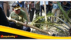 IMG_20241117_212643 Gubernur Al Haris: Aksi Nyata PLTB Buahkan Hasil Yang Memuaskan