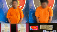 IMG 20241209 112928 2