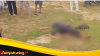 IMG_20241216_081716 Breaking News: Penemuan Mayat Di Lapangan Sepak Bola Dusun Candi Kabupaten Bungo