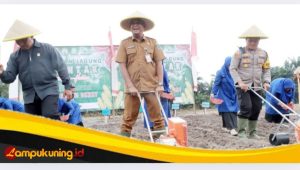 IMG_20250223_190528 Pemkab Tanjab Barat Dukung Ketahanan Pangan Nasional melalui Kegiatan Tanam Serentak Jagung