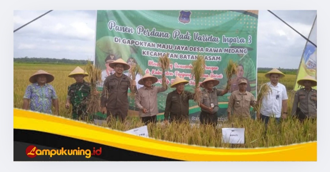 Panen Perdana Padi, Bupati Tanjabbar Dorong Peningkatan Ketahanan Pangan