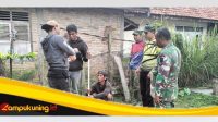 IMG 20250226 124602
