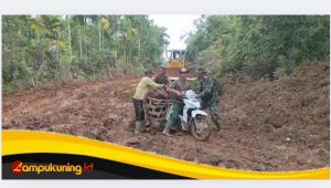 IMG_20250303_111118 Kepedulian Anggota Satgas TMMD Ke-123 Kodim 0416/Bute Saat Membantu Seorang Petani Sawit Yang Motornya Terjebak Lumpur