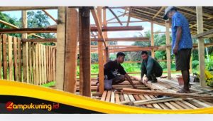 IMG_20250306_142327 Satgas TMMD Ke-123 Kodim 0416/Bute Mulai Merampungkan Kandang Ternak