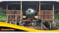 IMG 20250315 132012
