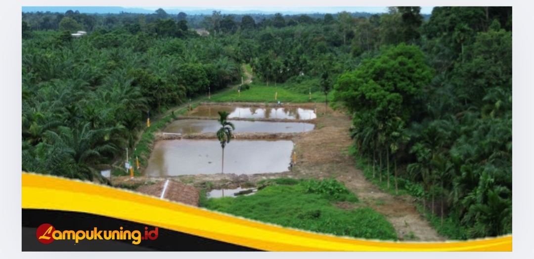 Satgas TMMD Ke-123 Kodim 0416/Bute Telah Menyelesaikan 100 persen Program Ketahanan Pangan Terpadu