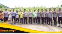 IMG 20250523 151123
