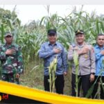 IMG_20251104_220557 Wabup Katamso Hadiri Panen Serentak Kuartal III di Renah Mendaluh
