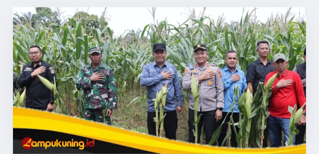 Wabup Katamso Hadiri Panen Serentak Kuartal III di Renah Mendaluh