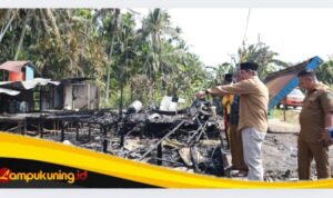 IMG_20251105_014112 Bupati Anwar Sadat Tinjau Langsung Lokasi Kebakaran di Teluk Kulbi