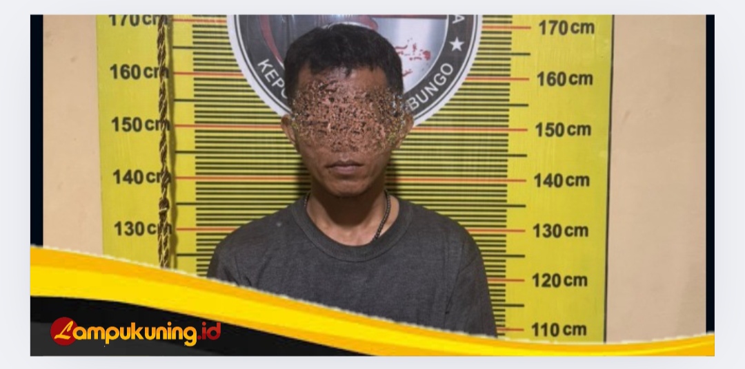 Satresnarkoba Polres Bungo Mengamankan FDF dan Barang Bukti Sabu Seberat 18,85 Gram