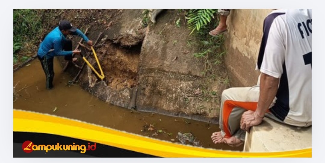 DAM Jebol, Petani Betung Bedarah Timur Harap Bantuan Pemkab Tebo