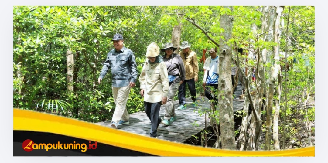 Wabup Katamso Dampingi Verifikasi Kemenhut RI di Kawasan Mangrove Pangkal Babu.