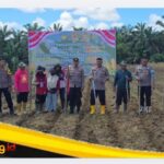 IMG_20260512_135216 Polsek Pelepat Dukung Swasembada pangan, Tanam Jagung di Dusun Gapura Suci