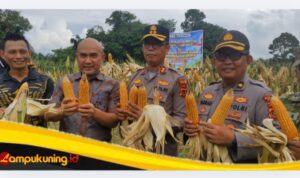 IMG_20260516_180949 Polres Bungo Gelar Panen Raya Jagung Serentak Kuartal II dan Ikuti Zoom Meeting Nasional Ketahanan Pangan Polri
