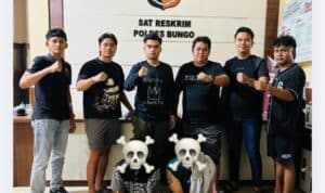 IMG_20260518_110148 Aksi Perampokan Modus Travel, Dua Pelaku Dibekuk Satreskrim Polres Bungo