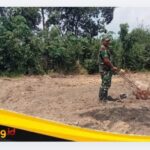 IMG_20260806_092321 Dansatgas TMMD Ke-129 Kodim 0416/Bute, Letkol Inf Yudi Susilo Yudhanto: Program Ketahanan Pangan Menjadi Salah Satu Fokus dalam Pelaksanaan TMMD.