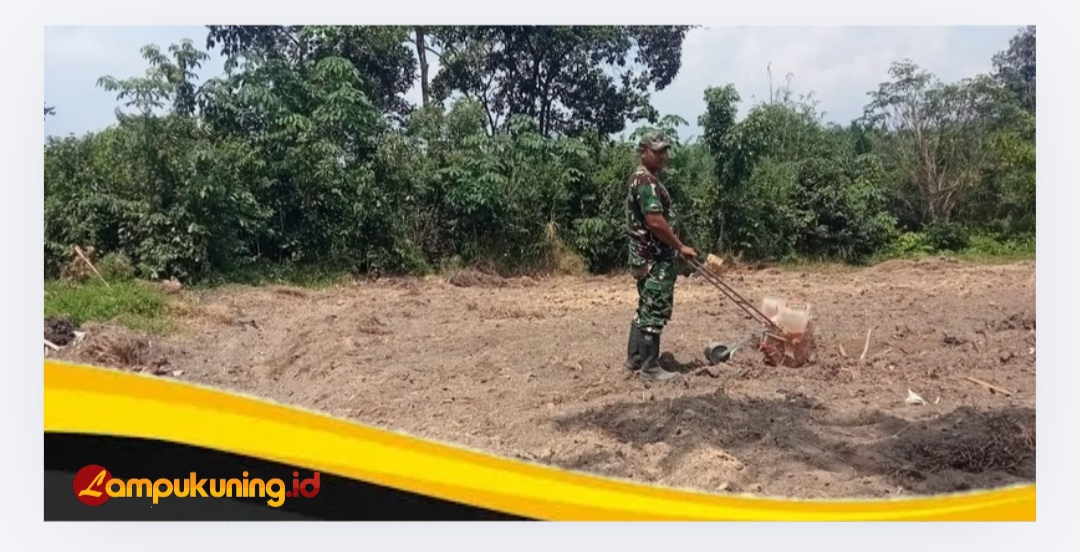 Dansatgas TMMD Ke-129 Kodim 0416/Bute, Letkol Inf Yudi Susilo Yudhanto: Program Ketahanan Pangan Menjadi Salah Satu Fokus dalam Pelaksanaan TMMD.