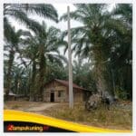 IMG_20260824_204852 Warga Lubuk Mandarsah Ulu Apresiasi Cek Endra, Minta Listrik Segera Menyala