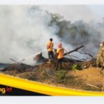 IMG_20260905_130407 Gerak Cepat Jajaran Polres Bungo Padamkan Karhutla di Dusun Manggis