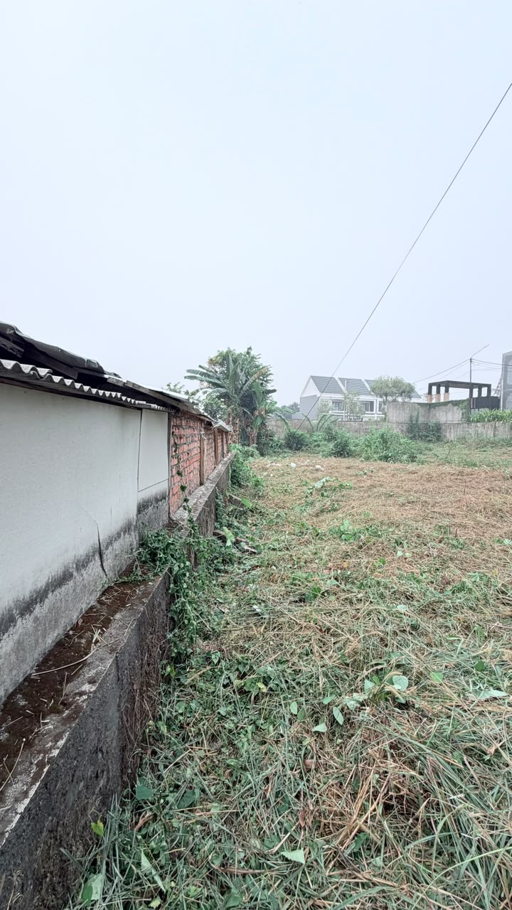 Berinvestasi Tanah di Kota Jambi, Ada Sebidang Tanah Mau Dijual