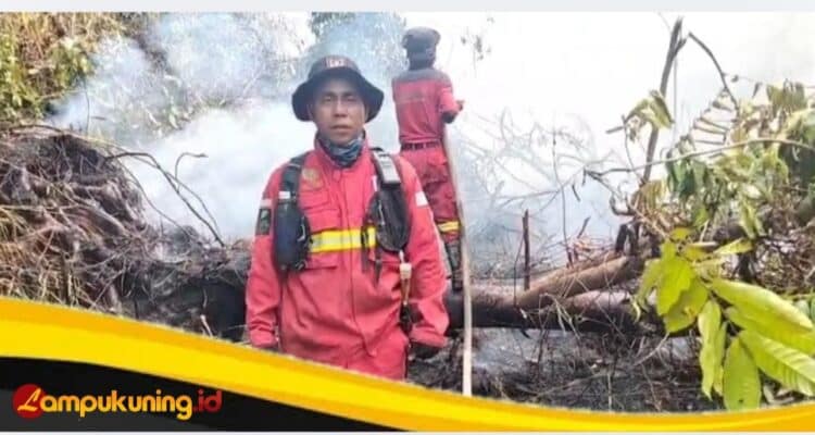 Manggala Agni dan Tim Gabungan Intensifkan Operasi Hari Ketujuh di Taman Nasional Berbak.